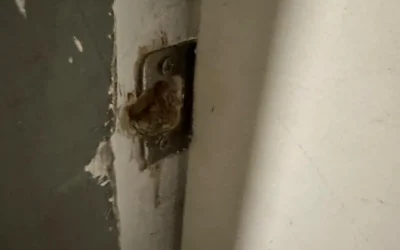 What to Do When You’re Locked Out of Your House